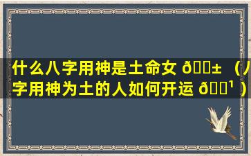 什么八字用神是土命女 🐱 （八字用神为土的人如何开运 🌹 ）